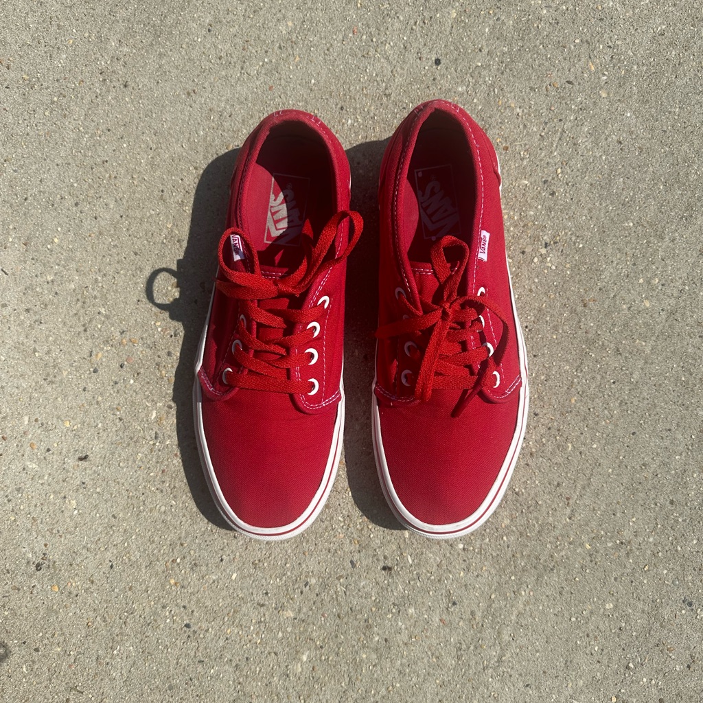 Vans Authentic True
